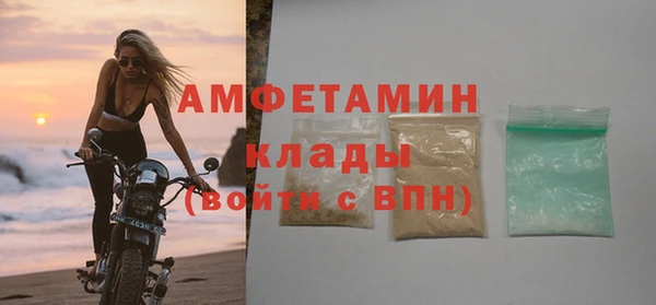 стаф Аркадак