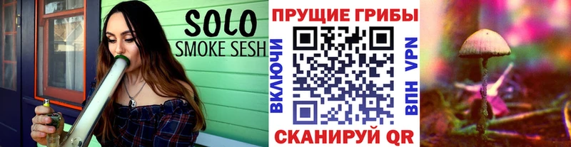 даркнет сайт  Северо-Курильск  даркнет клад  Псилоцибиновые грибы Cubensis 